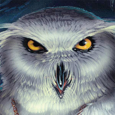 Ed Beard Jr. White Owl Nintendo 2DS XL (2017) Skin